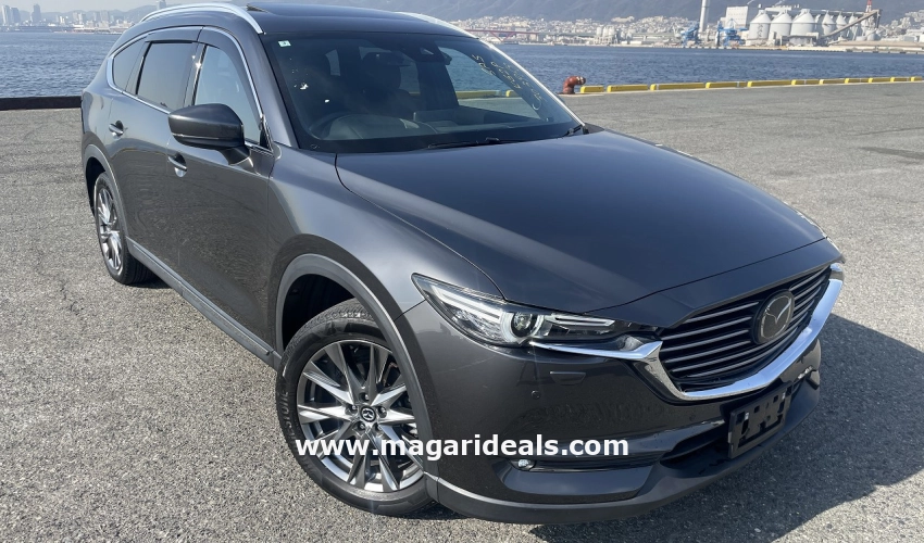 The Mazda CX-8 in Kenya: The Graceful Family Sanctuary